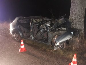 na zdjęciu widać pojazd nissan, który uderzył w drzewo
