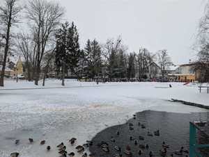 Bezpieczne ferie nad wodą i lodem – pokazy ratownictwa w Węgorzewie